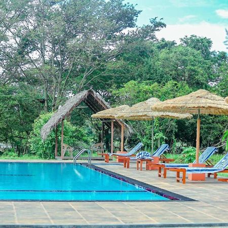 Sigiriya Peacock Homestay Exteriör bild