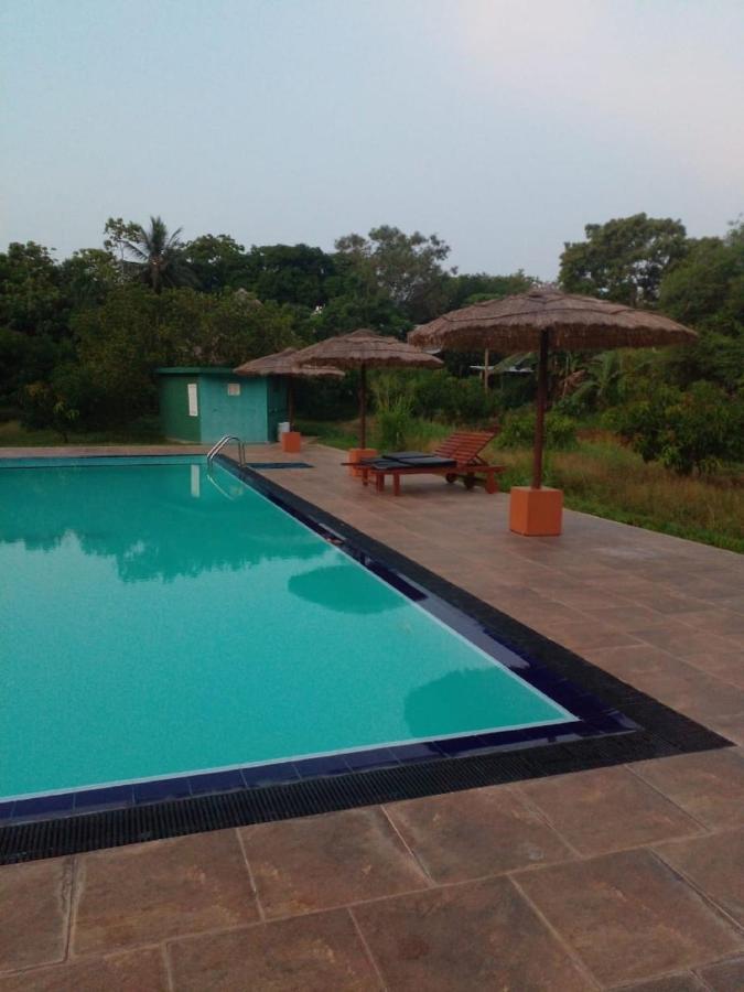 Sigiriya Peacock Homestay Exteriör bild