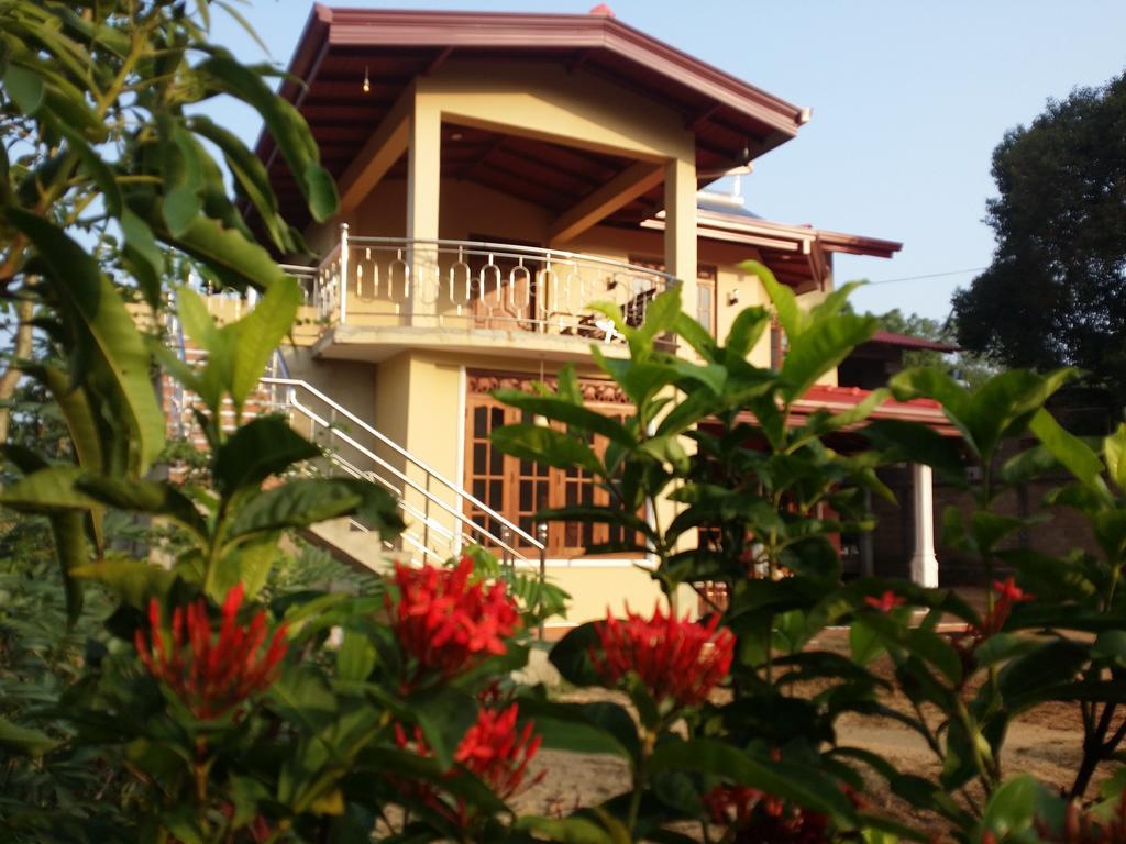 Sigiriya Peacock Homestay Exteriör bild