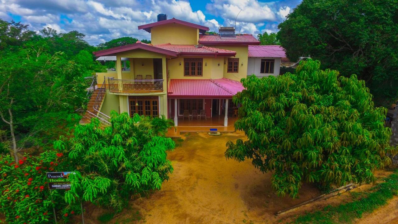 Sigiriya Peacock Homestay Exteriör bild